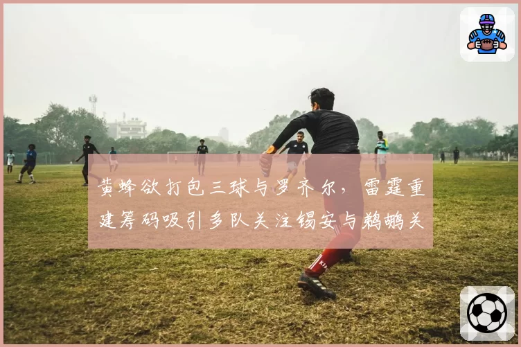黄蜂欲打包三球与罗齐尔，雷霆重建筹码吸引多队关注锡安与鹈鹕关系破裂，尼克斯、公牛成潜在交易目的地