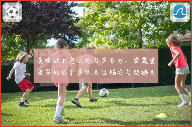 黄蜂欲打包三球与罗齐尔，雷霆重建筹码吸引多队关注锡安与鹈鹕关系破裂，尼克斯、公牛成潜在交易目的地