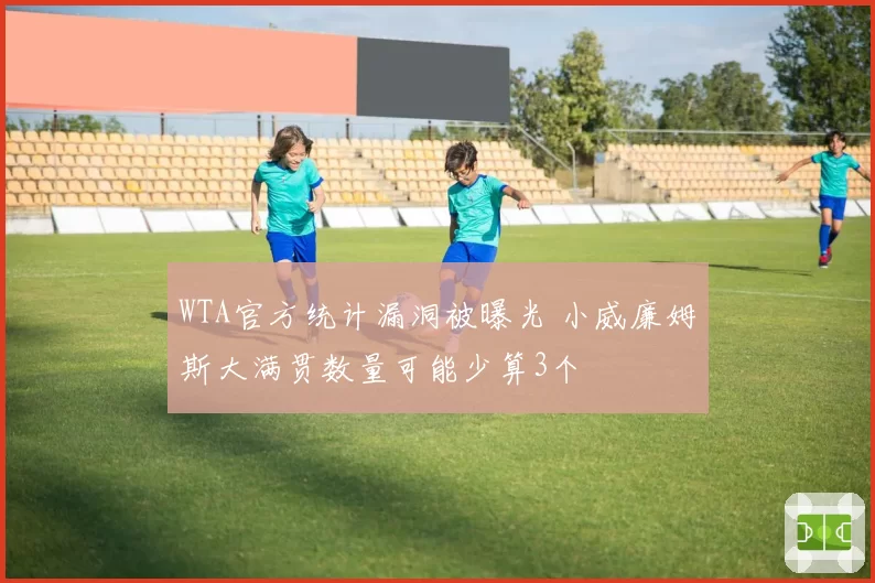 WTA官方统计漏洞被曝光 小威廉姆斯大满贯数量可能少算3个