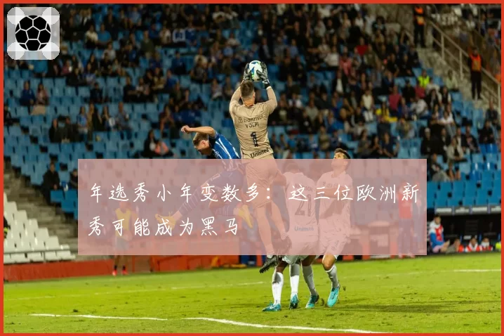 年选秀小年变数多：这三位欧洲新秀可能成为黑马